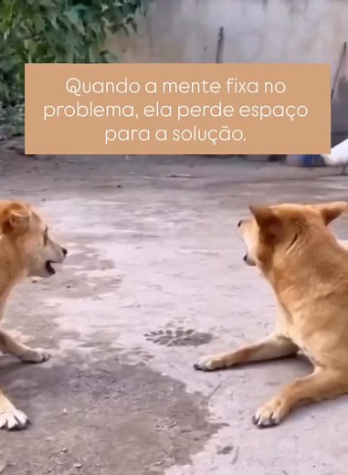 "Quando a mente se agarra ao problema, fica sem espaço para criar a solução." Esta frase é simples, mas profundamente verdadeira. Quantas vezes já deste por ti a insistir mentalmente naquilo que está a correr mal, numa tentativa de controlar tudo… e, paradoxalmente, ficaste ainda mais bloqueada? A verdade é que, quando nos fixamos no obstáculo, a nossa clareza diminui. Ficamos encarcerados no mesmo círculo de pensamentos, a ruminar, a repetir cenários, a imaginar consequências. E, quanto mais in