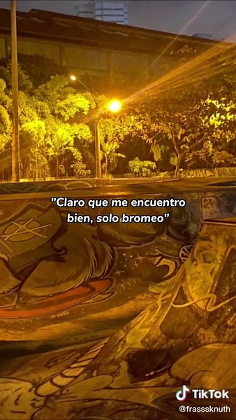 Skate Park Graffiti and Relaxed Cat Moments