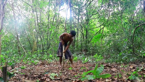 Building a New House in the Forest Using Natural Materials