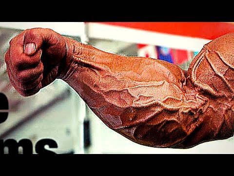 Top 10 Forearms In Bodybuilding History!