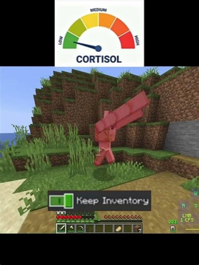 Low cortisol vs high cortisol #minecraft #minecraftshorts