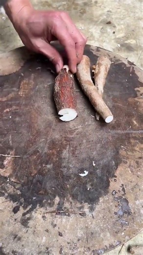 Unveil the Beauty: Spring Showcase