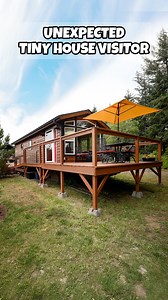 377K views · 19K reactions | Living tiny comes with a lot of life lessons... For Sandy, it meant learning that she’s a cat person! ❤️ : @tinytranquilitypark : @overlanduncharted Wanna tour this home?  (link in bio: https://youtu.be/IAuK8butFQY?si=MOqByTess5-cShe_) #tinyhouse #tinyliving #catlady | Tiny House Giant Journey | Facebook