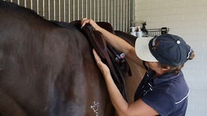 1K views · 20 reactions | ✍️ Here's a saddlefitting tip to think...