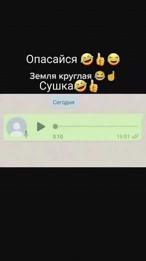 Catching Round Earth Memes: Hilarious Compilation