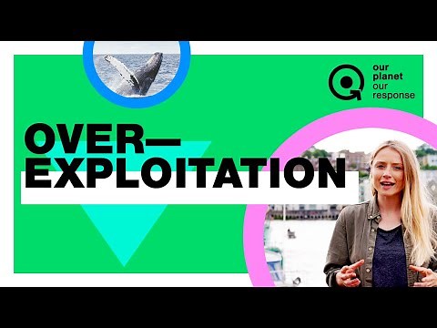 Overexploitation - one of the main causes of biodiversity loss - #OPOR