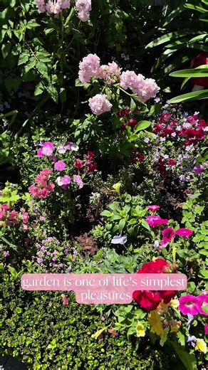 garden tour ~ part 1 💕 let me know if you’ve got any questions!! x if you’re after any seeds, bulbs or tubers to start your own cottage garden, you can use code BELLE10 at @Fothergill’s Aus ‘ a discount! x