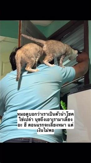 Twin sisters Vivi and Vivo