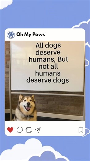 Sometimes, the purest love comes from our four-legged friends. 🐾 This adorable pup reminds us that not all humans are worthy of the loyalty and unconditional love dogs give. 🐕 Let's treat them with the respect and kindness they deserve. ❤️ #DogLovers #UnconditionalLove #Pawfection | Oh My Paws