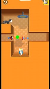 Funny Cat Flip Part 21 😂🐱 | Cute Jump Turns into Silly Flip 😱💥 #Shorts