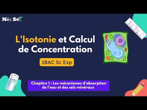 1BAC SE | Isotonie & Calcul de Concentration | Mécanismes d’absorption de l’eau et des sels minéraux