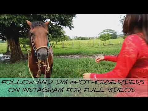 Cruel Horse Riding By Woman