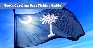 5 Best South Carolina Bass Fishing Destination | Where And When To Go!