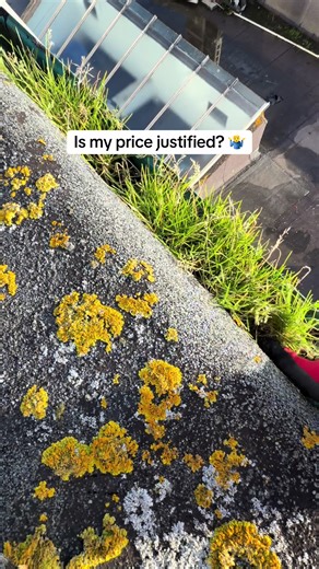 Understanding Pricing in Gutter Cleaning Services