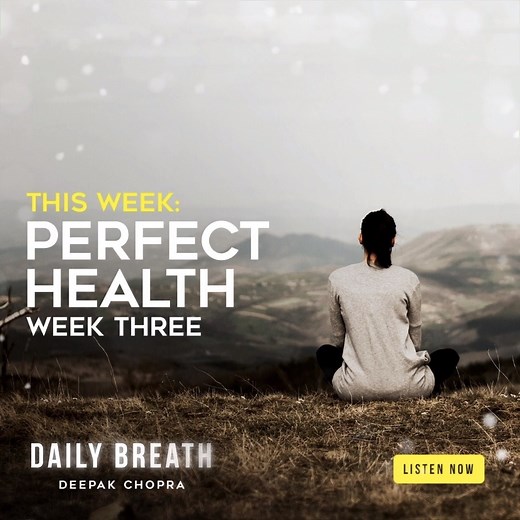 2.5K views · 115 reactions | As we continue to practice Perfect Health, our focus this week will be to learn more about the different body types. I encourage you to listen each day to my Daily Breath podcast wherever you enjoy podcasts or at https://player.fm/series/daily-breath-with-deepak-chopra | Deepak Chopra | Facebook