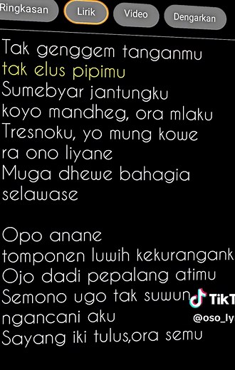 Oso_Lyrics_”ER” on TikTok