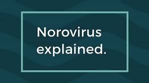 7.3K views · 21 reactions | Norovirus causes gastroenteritis in around two million Australians every year. Here's how to avoid getting it, or passing it on. | The Age | Facebook