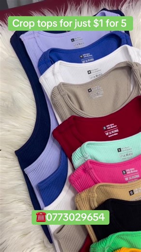 🔥 Affordable, trendy, and perfect for everyday looks 💕 Mix & match your vibe without breaking the bank. Limited stock—don’t sleep on this deal 👀💃🏽 #croptops #affordablefashion #budgetfinds #fashiondeals #$1deals #bulkbuy