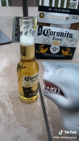 CORONA TIME!!!!! #foryou #foryoupage #corona