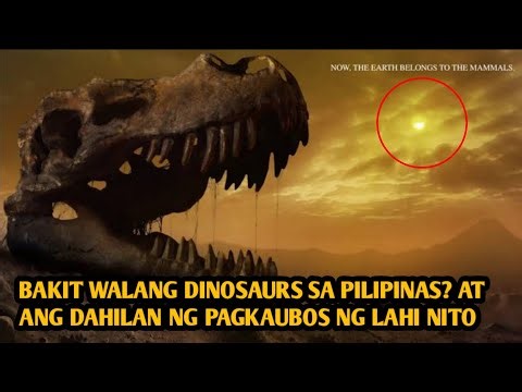 Bakit Walang Dinosaurs sa Pilipinas? At ang Dahilan ng Pagkaubos ng Lahi ng mga Dinosaurs