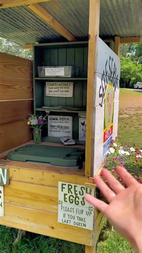 Update on the now farmstand!! I’m so excited to finally add veggies and flowers. I have over 20 tomato plants planted, a ton of pepper plants, squash of different varieties, corn, beans, peas & okra! can’t wait to add everything to the stand, and the other stand we are building!! #eg#eggtokh#chickentokh#chickenso#homesteada#backyardchickensa#happychickensr#freerangeeggs✨o#homesteadingr#freerangechickensr#freerangeeggsg#eggstanda#farmstandr#producestando#honorsystemfarmstando#honorsystemo#homeste