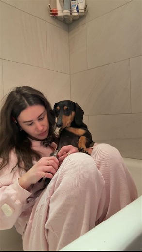 Carly Rivlin on Instagram: "Behind this beauty obsessed girl is a boy dog who wants to be included in everything she does. Luckily we can get ready together and share our beauty routines with matching @tweezerman and @tweezermanpet products #tweezermanpartner"