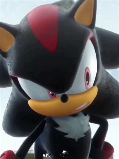 Return from a Great Break: Sonic and Shadow Adventures