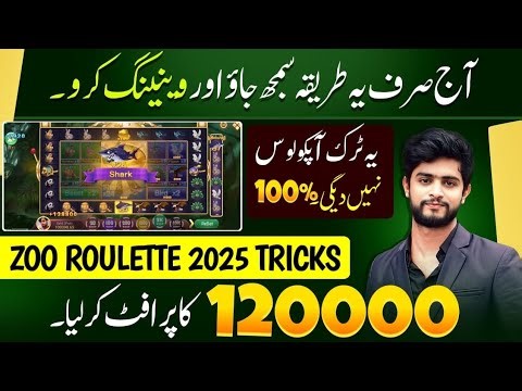 New Teen Patti 2025 / 3patti Ludo Bounty Game 2025 Pakistan / 3patti Dragon vs Tiger winning tips