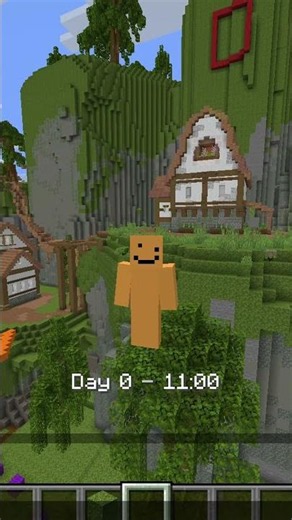 Did you know this about minecraft screenshots? #donut #smp #minecraft #unstablesmp #lifestealworld