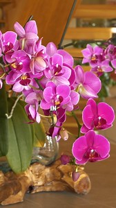 20K views · 437 reactions | Quick Line Comedy on Reels | Facebook