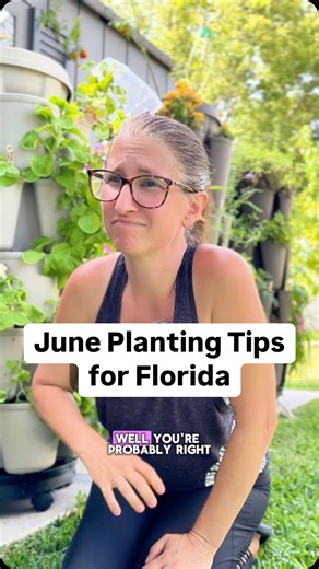 It’s June, and the heat is on but the garden doesn’t stop! Here’s what to grow this month in Florida if you’re still planting: ✔️ Sweet potatoes ✔️ Seminole pumpkins ✔️ Peanuts ✔️ Tropical spinaches ✔️ Cowpeas ✔️ Okra Need more tips? My ebook is linked in bio to help you garden smarter through the summer or you can grab it from my website HomegrownFloridaGarden.com #WhatToGrowInJune #FloridaGardening #summergarden #GrowYourOwnFood #gardeningtips | Homegrown Florida