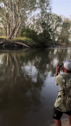Catch 75cm Murray Cod Fishing with Berkeley HD Bait
