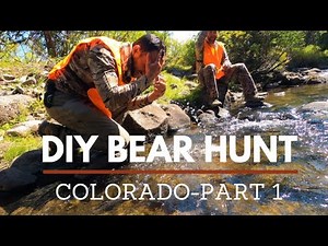 DIY COLORADO BLACK BEAR HUNT (FALL SPOT AND STALK) PART 1