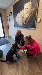 23K views · 1K reactions | Having a wonderful day at kings harvest! Duko found his people!!! | Kings Harvest Pet Rescue No Kill Shelter 563 386 3117 | Facebook