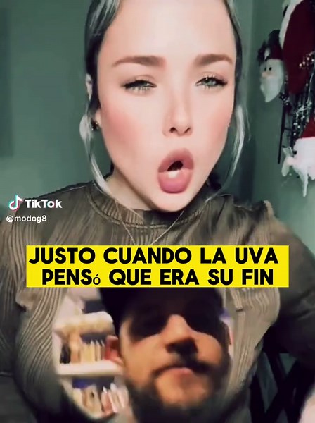 Videos de MODOG (@modog8) con “sonido original - MODOG”