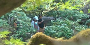 Portland Japanese Garden celebrates 60 years with music, origami, and more