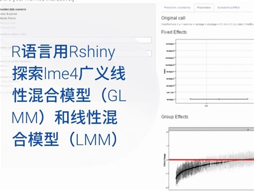 R语言用Rshiny探索lme4广义线性混合模型（GLMM）和线性混合模型（LMM）