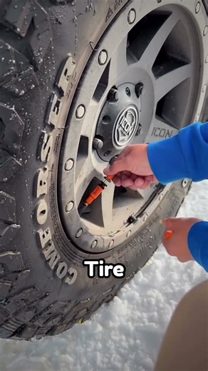 Car tire deflator