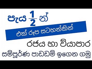 රජය හා ව්‍යාපාර සම්පුර්ණ පාඩම එක රුප සටහනකින් | A/L BUSINESS STUDIES IN SINHALA | BUSINESS STUDIES