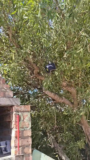 15K views · 200 reactions | Hier waai die wind die kole onder die hout uit en het my eie "surround sound" tot gevolg.... | Jaco Ka'laari | Facebook