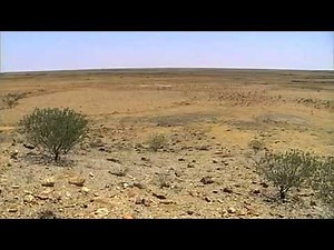 An introduction to ecosystems, Food chains and food webs | Teaching Resources