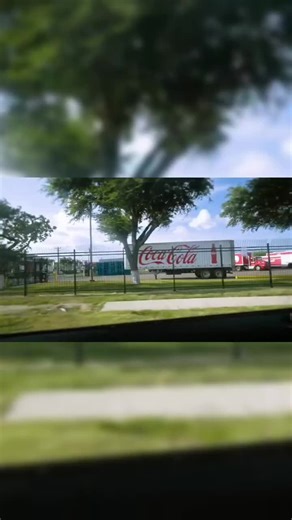 Exploring the World's Most Obese City: Health Insights