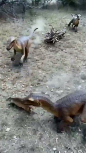 Dinosaurs hunting as a team! 🦖🦖🦖🦖 #dinosaur #dinosaurworld #dinosaurvalley