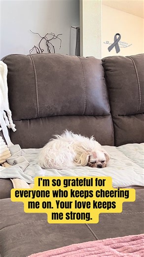 Bella's Recovery Journey: Update and Support Needed