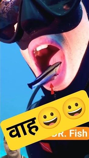 🤣Dr Fish (Garra Rufa) | Dead Skin Eating Fish Explained 🐟😀😀🤣 #shorts #trending #viral. #animals