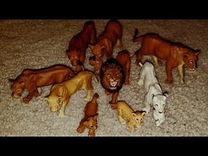 My Lion Collection!
