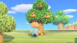 Animal Crossing: Some tips to get you started