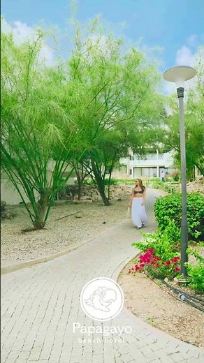 Stay at Papagayo Beach Hotel | Garden Views, Beachfront Relaxation & Caribbean Bliss