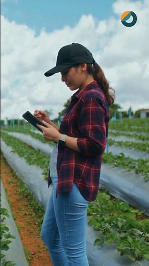 Soil Moisture and Irrigation Management | CYOL