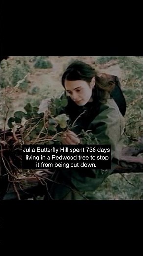 Julia Butterfly Hill Lived in a Tree for 738 Days #science #forestreservation